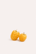 Rubus idaeus - Golden Raspberry Seeds