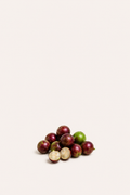 Escarlate Jaboticaba Seeds