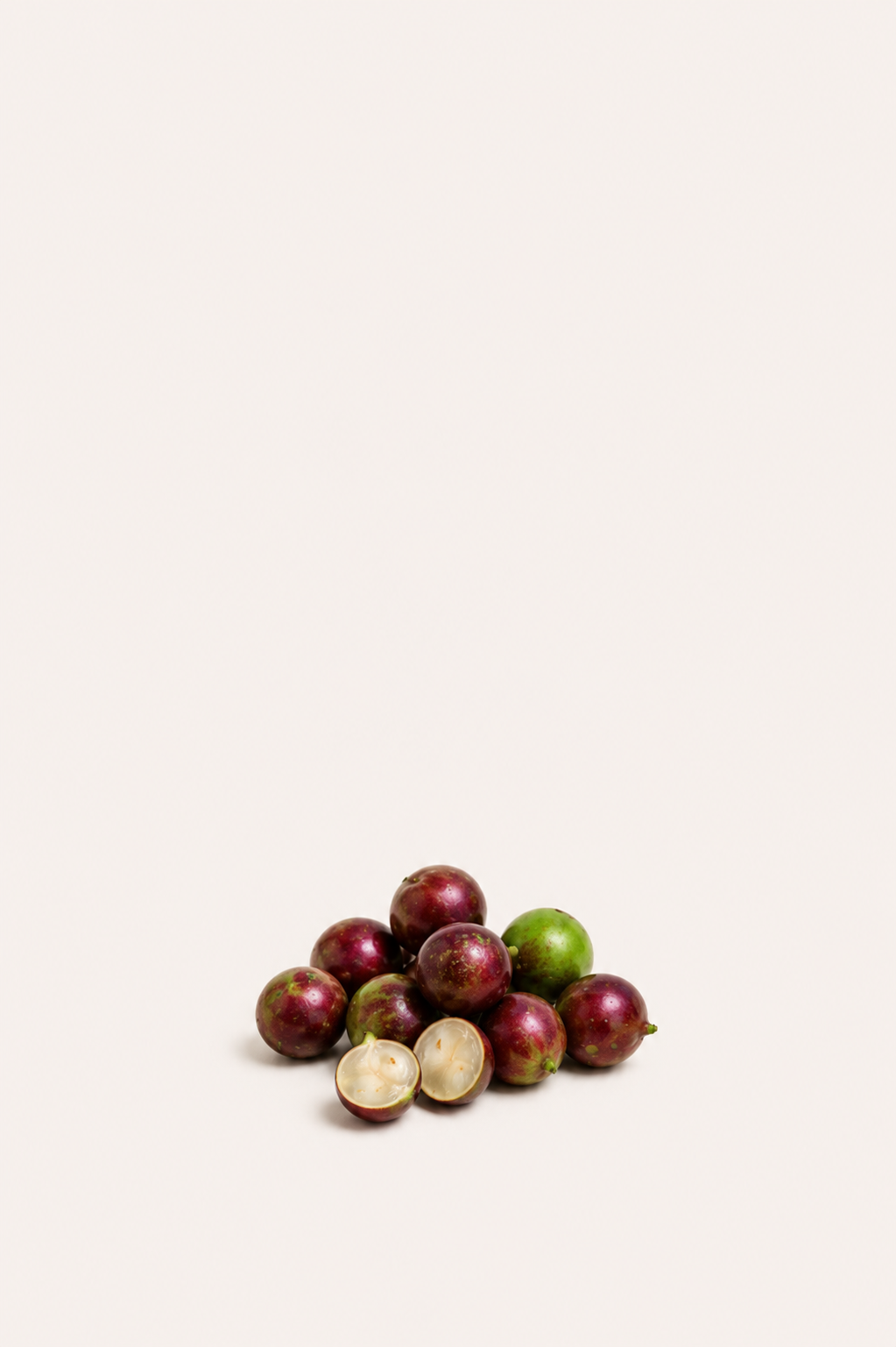 Escarlate Jaboticaba Seeds