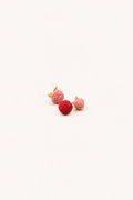 Rubus parviflorus - Thimbleberry Seeds