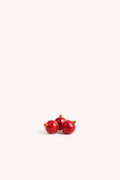 Dwarf Pomegranate Seeds