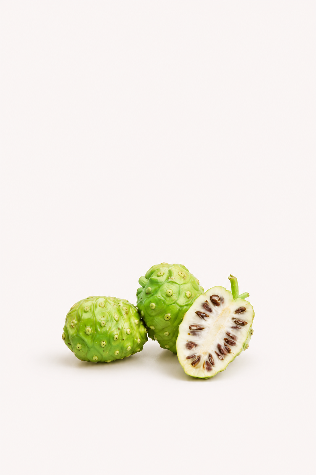 Noni Seeds