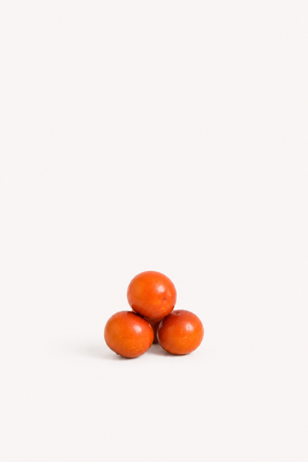 Suan Zao Ren Seeds