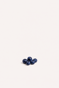 Coast Huckleberry Seeds