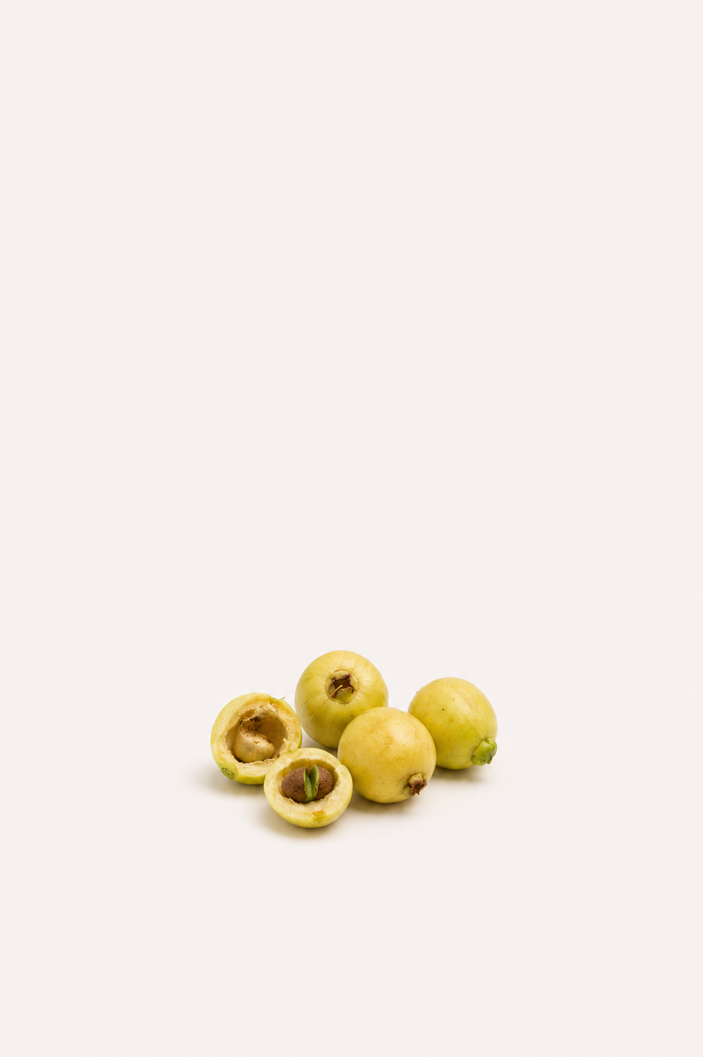 Rose Apple Seeds