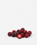 Bayberry Seeds