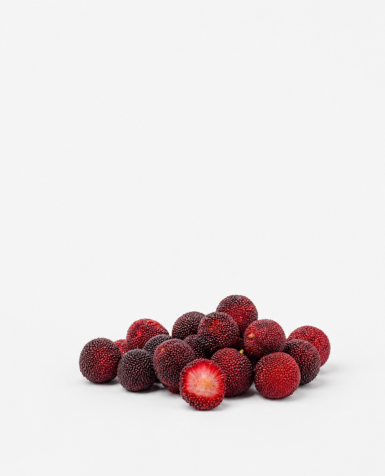 Bayberry Seeds