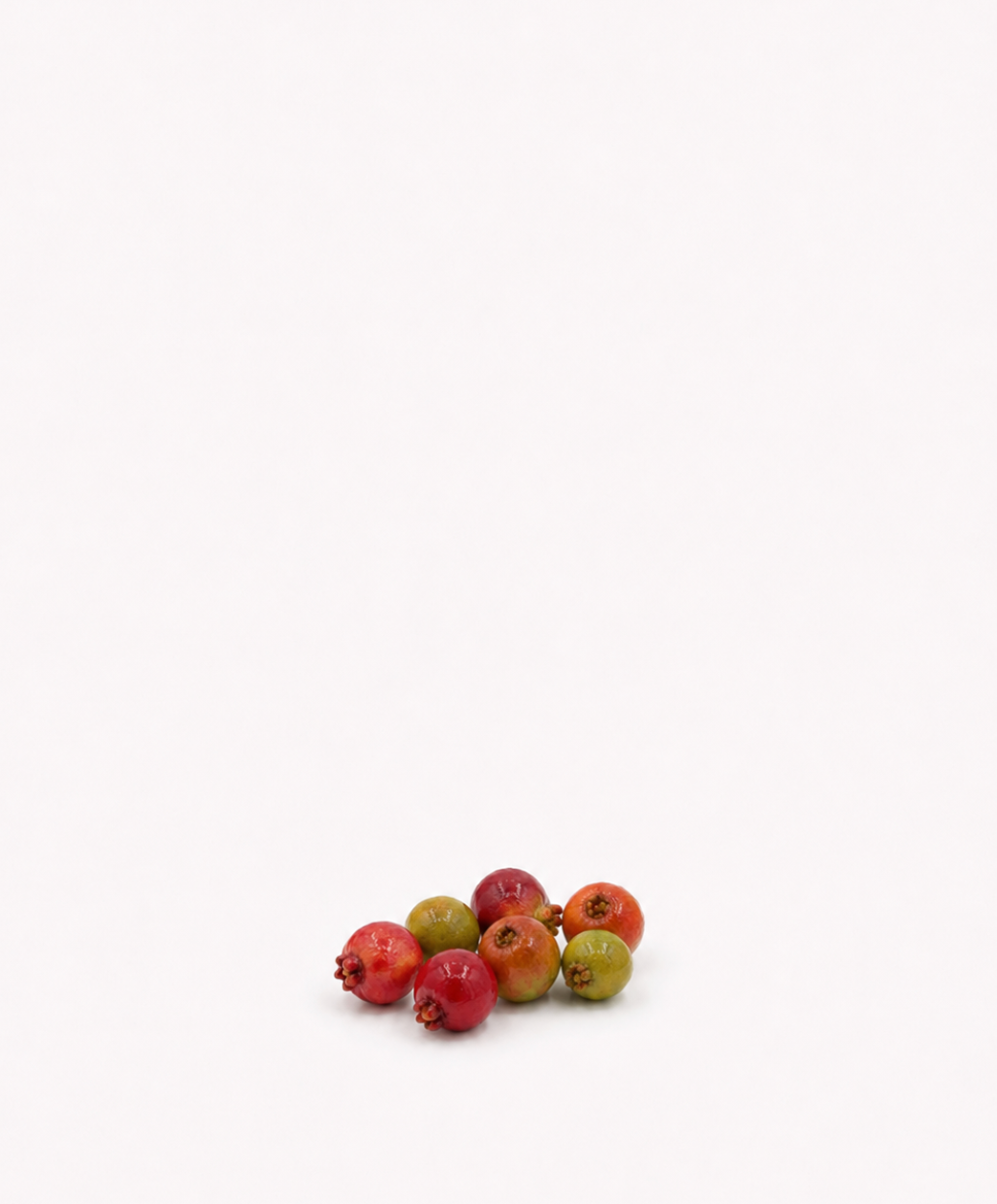 ,Araçá Serrano Seeds
