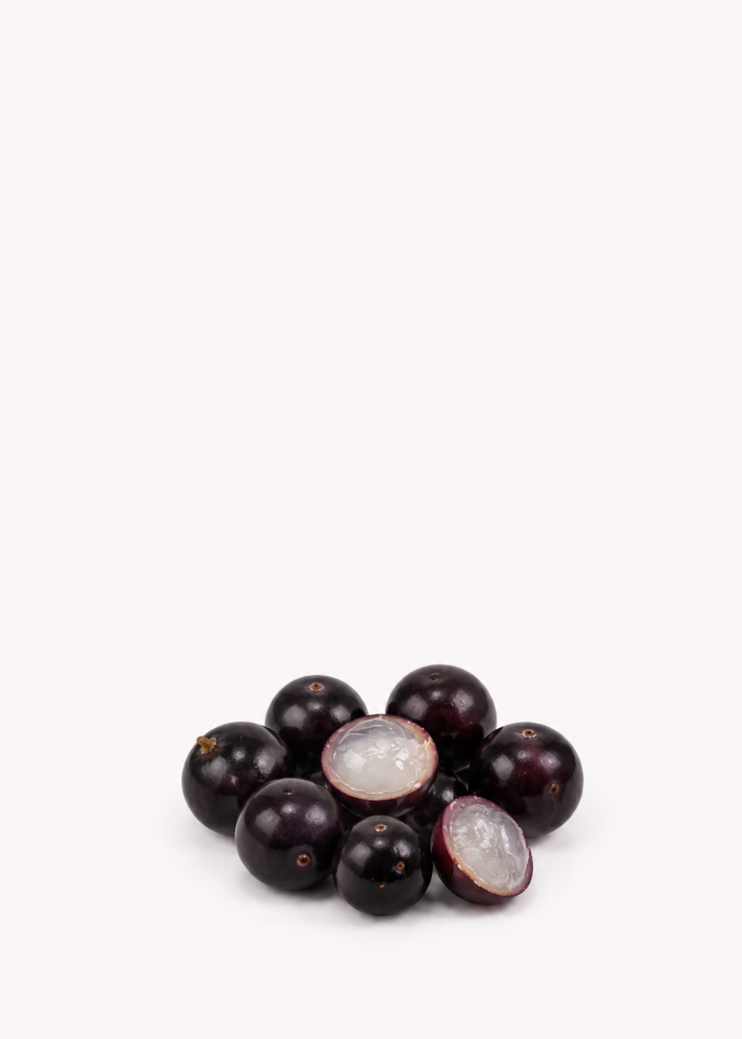 Jaboticaba Seeds