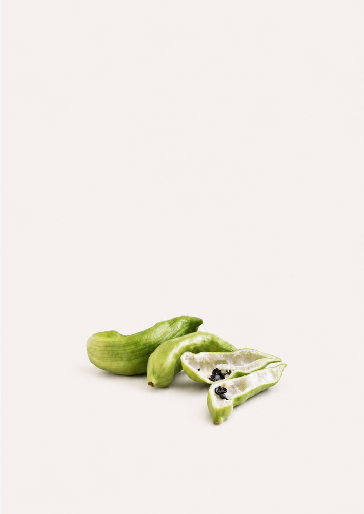 Caigua Seeds