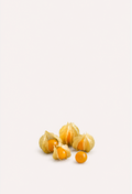 Cape Gooseberry Seeds