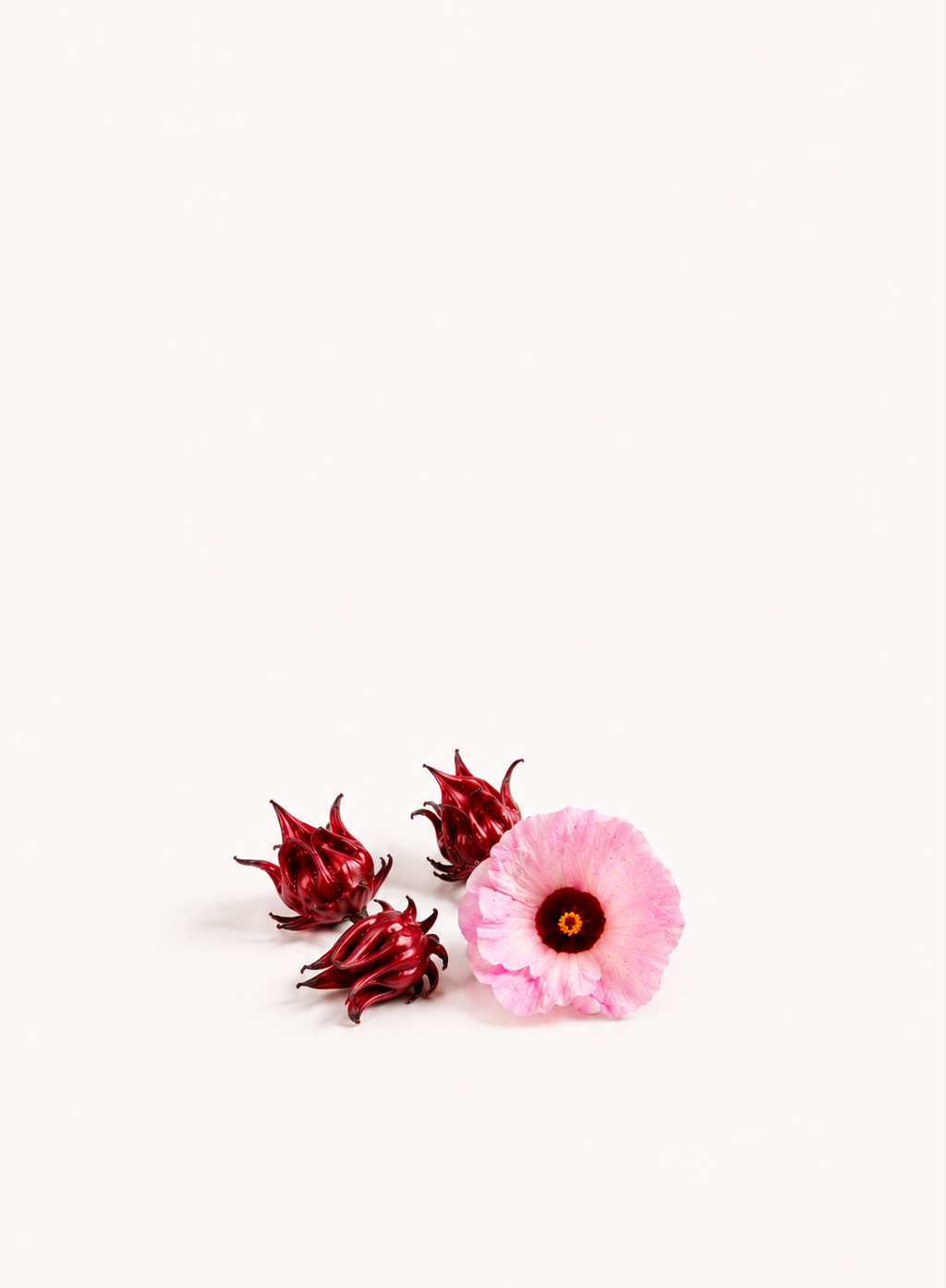 Edible Hibiscus Seeds
