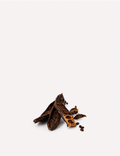 Carob Chocolate Seeds