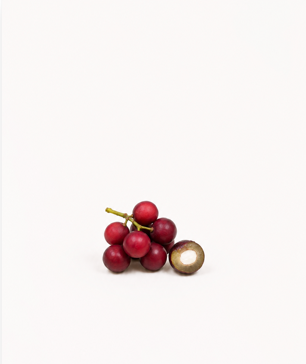 Holly Leaf Cherry Seeds