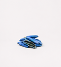 Himalayan Blue Sausage Fruit Seeds