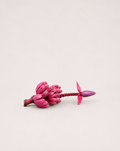 Pink Velvet Banana Seeds