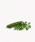 Moringa Horseradish Seeds