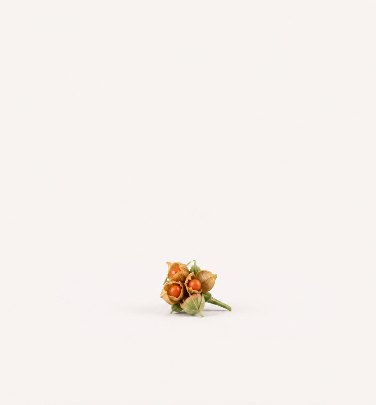 Ashwagandha Seeds